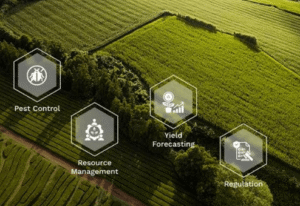 Smart Systems for Resource Management